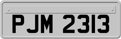PJM2313