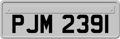 PJM2391