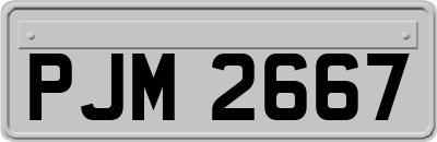 PJM2667