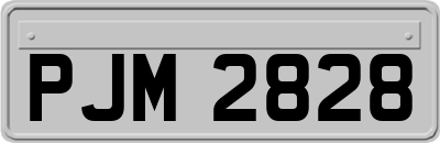 PJM2828