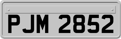 PJM2852