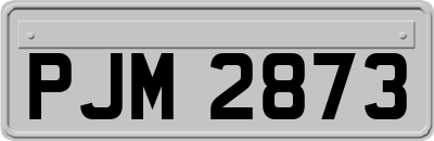 PJM2873