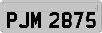 PJM2875
