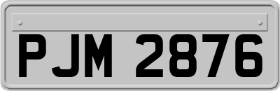 PJM2876