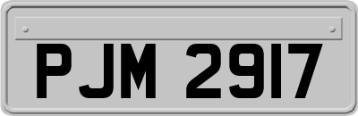 PJM2917