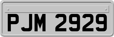 PJM2929