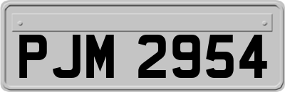 PJM2954