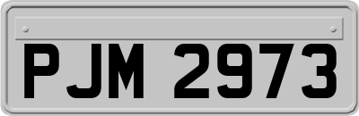 PJM2973
