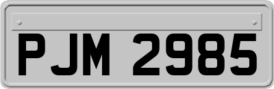 PJM2985