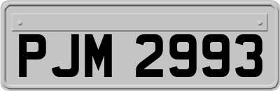 PJM2993
