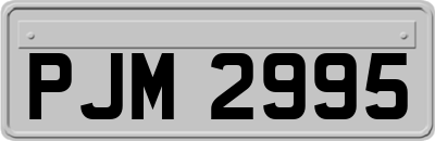 PJM2995