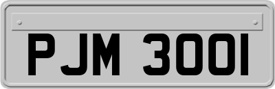 PJM3001
