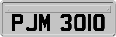 PJM3010