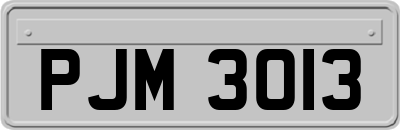 PJM3013