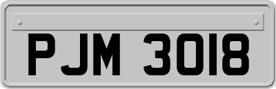 PJM3018