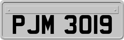 PJM3019