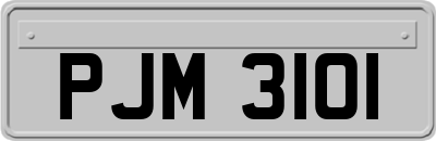 PJM3101