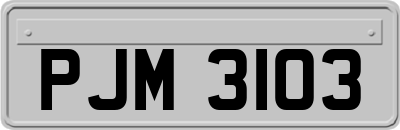 PJM3103