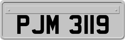 PJM3119