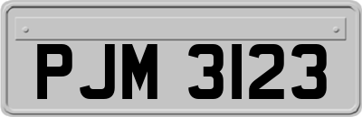 PJM3123