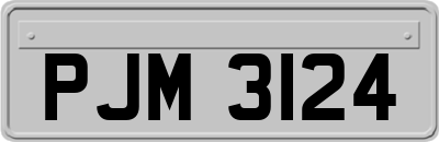 PJM3124