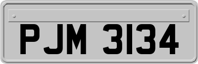 PJM3134