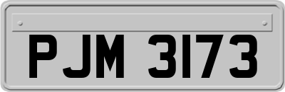 PJM3173