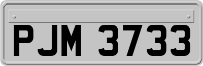 PJM3733