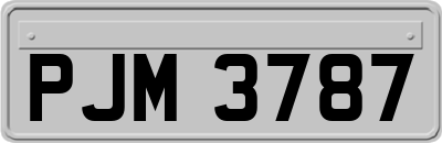 PJM3787
