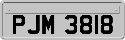 PJM3818