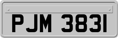 PJM3831