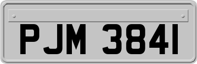 PJM3841