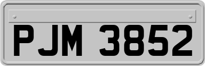 PJM3852