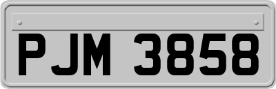 PJM3858