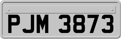 PJM3873