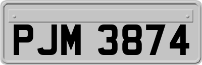 PJM3874