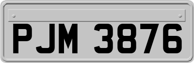 PJM3876