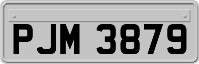PJM3879
