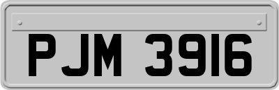 PJM3916