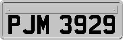 PJM3929