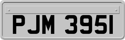 PJM3951