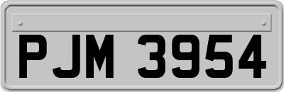 PJM3954