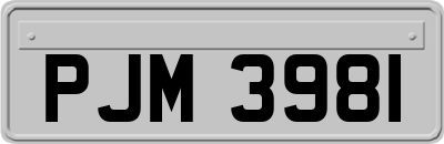 PJM3981