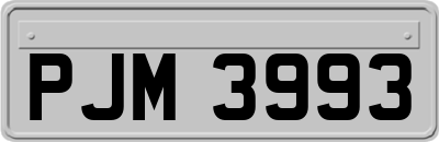 PJM3993