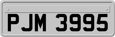 PJM3995