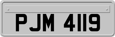 PJM4119
