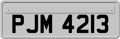 PJM4213