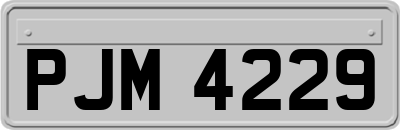 PJM4229