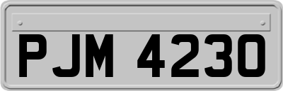 PJM4230