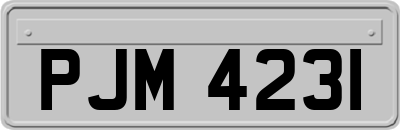 PJM4231